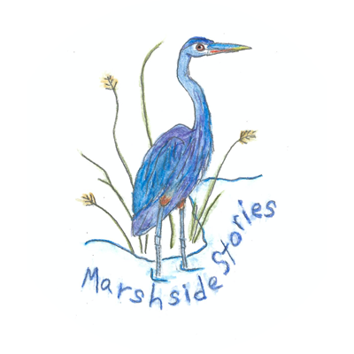 Marshside Stories